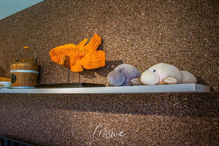 Studio River 106 na rota ecologica de milagres